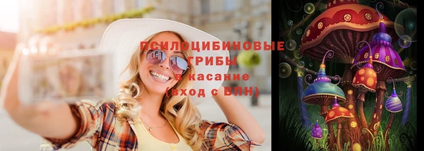 ПСИЛОЦИБИНОВЫЕ ГРИБЫ Арсеньев