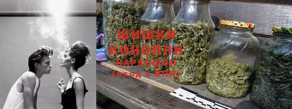 ПСИЛОЦИБИНОВЫЕ ГРИБЫ Арсеньев