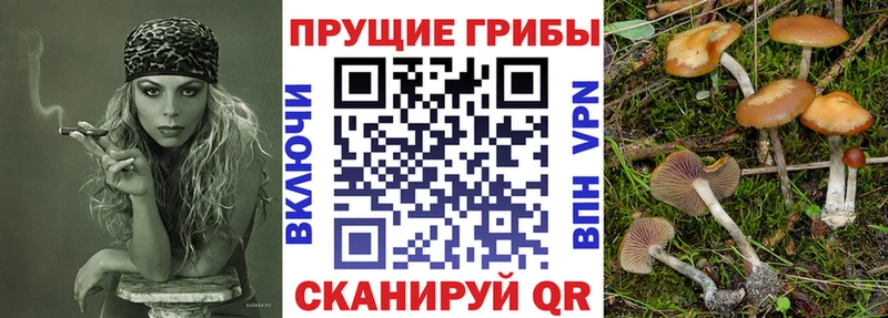 как найти закладки  Дыгулыбгей  Псилоцибиновые грибы ЛСД 